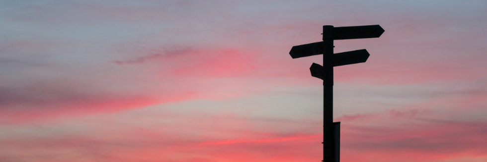 A winding path through a forest, symbolizing the journey of finding one's way after emigration