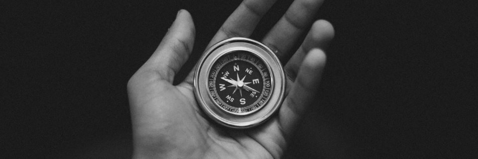 Job Interview Compass